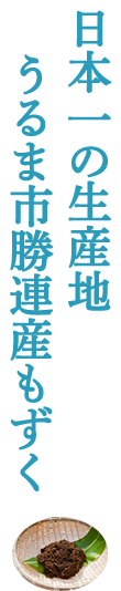 ビールとの相性抜群ゴーヤの苦味