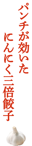 ビールとの相性抜群ゴーヤの苦味