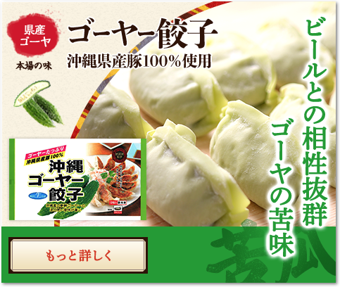 県産ゴーヤ 本場の味 ゴーヤー餃子 沖縄県産豚100％使用 ビールとの相性抜群ゴーヤの苦味 長寿野菜といえばゴーヤーさあね！！